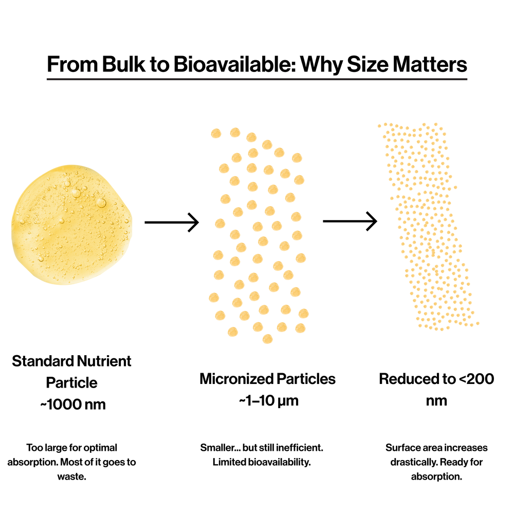 Most supplements deliver nutrients your body still has to convert. That means delays, inefficiencies — and a lot of waste.TAP uses scientifically active forms that your body can absorb and use immediately, minimizing loss and maximizing impact. Because better forms don’t just show up — they show results.